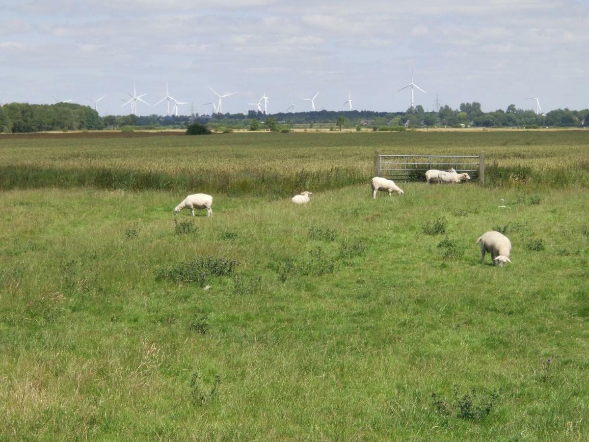 Marschblick Leilighet Sudermarsch Eksteriør bilde